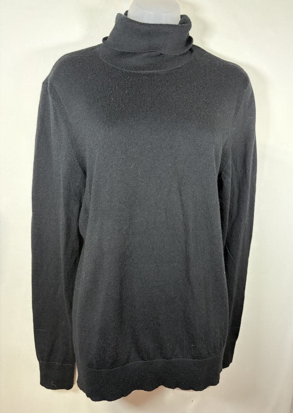 Express Merino Wool Blend Turtleneck Sweater Size M EUC